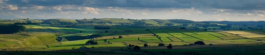 Fields and drystone walls in the Derbyshire Peak District. Photo © Chris James.